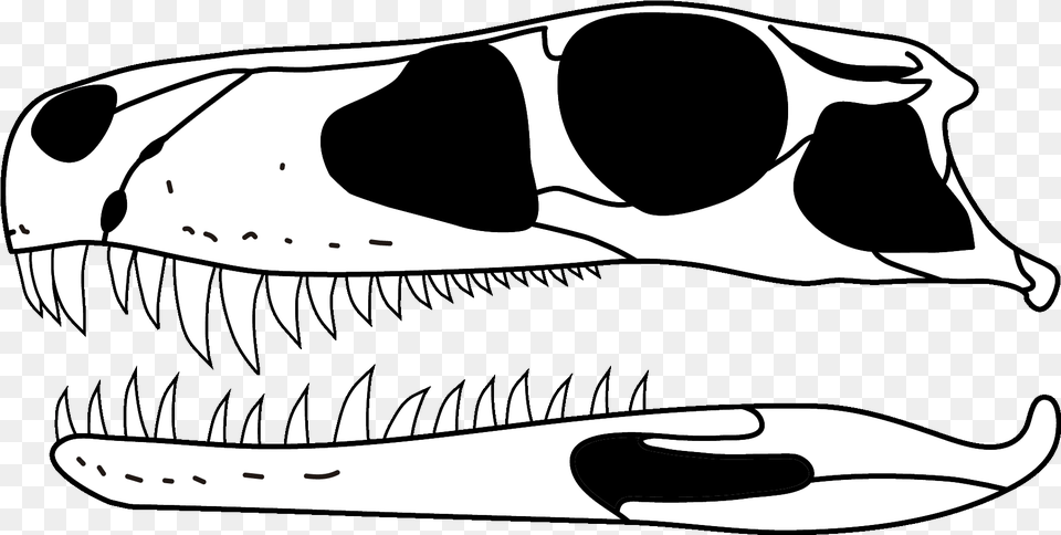 Gnathovorax Skull Skull, Stencil, Animal, Fish, Sea Life Png