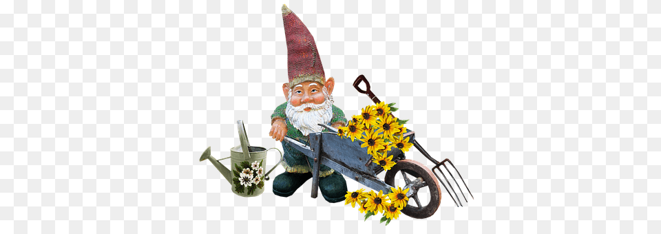 Gnome Flower, Flower Arrangement, Plant, Flower Bouquet Free Transparent Png