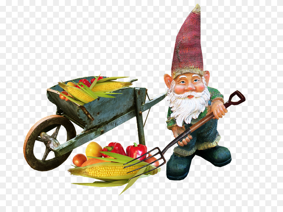 Gnome Machine, Wheel, Face, Head Free Png