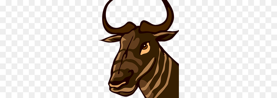 Gnu Animal, Bull, Mammal, Baby Png