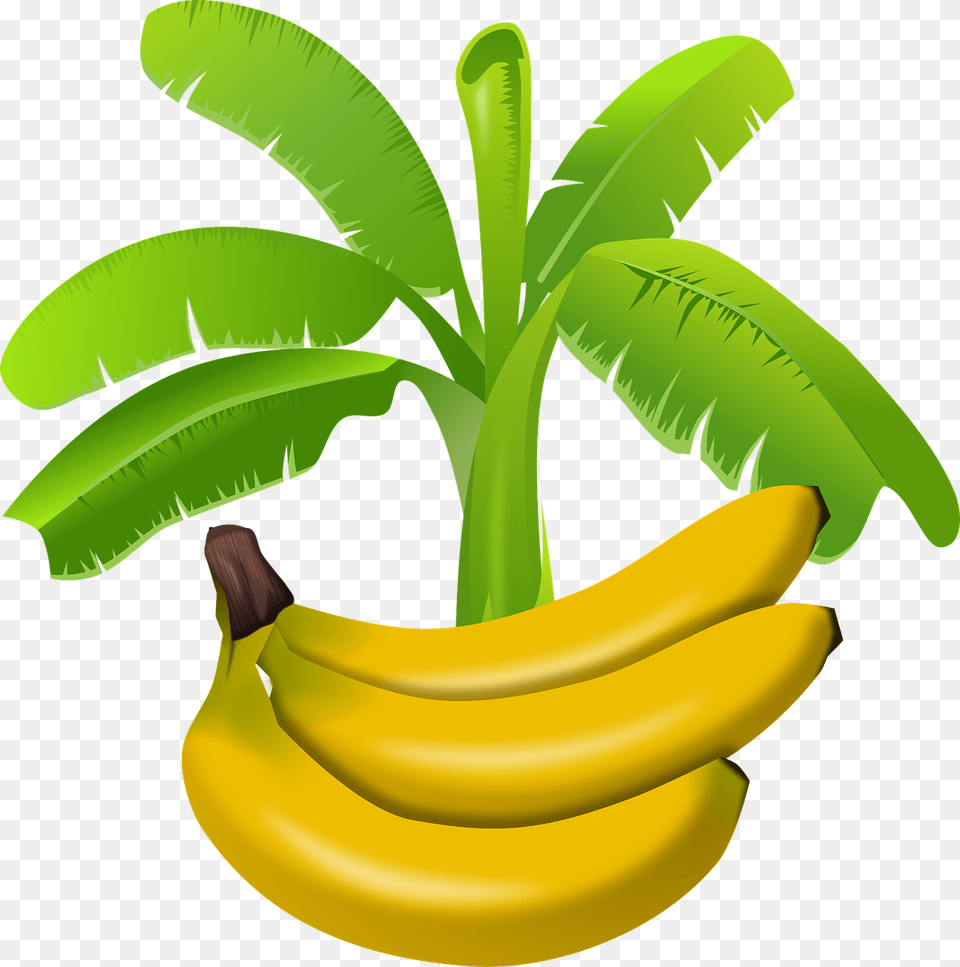 Go Bananas Reviewing Banana Treats Toys For Banana Day, Food, Fruit, Plant, Produce Free Png