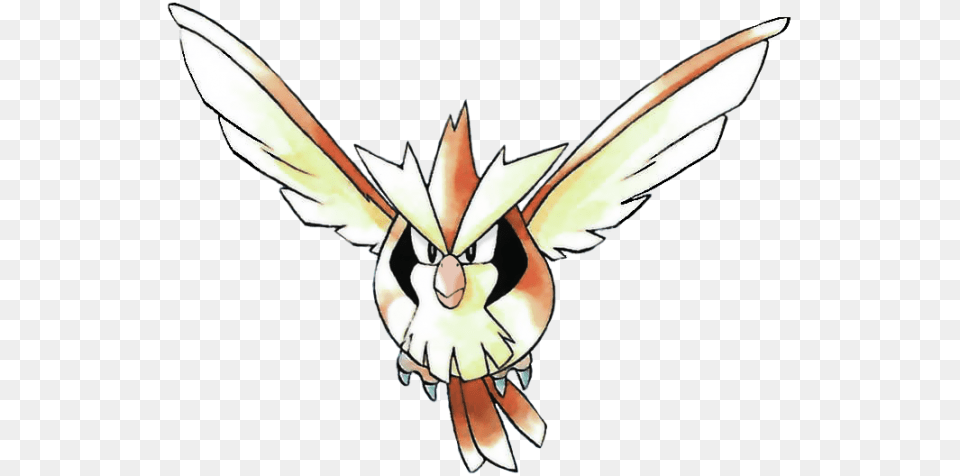 Go Cutting Down On Pidgeys Rattatas And Zubats, Animal, Bird, Flying, Person Free Png