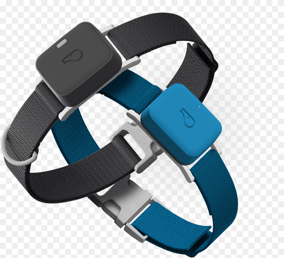 Go Explore Grey And Go Blue Whistle Dog Collars, Accessories, Strap, Wristwatch, Electronics Free Transparent Png