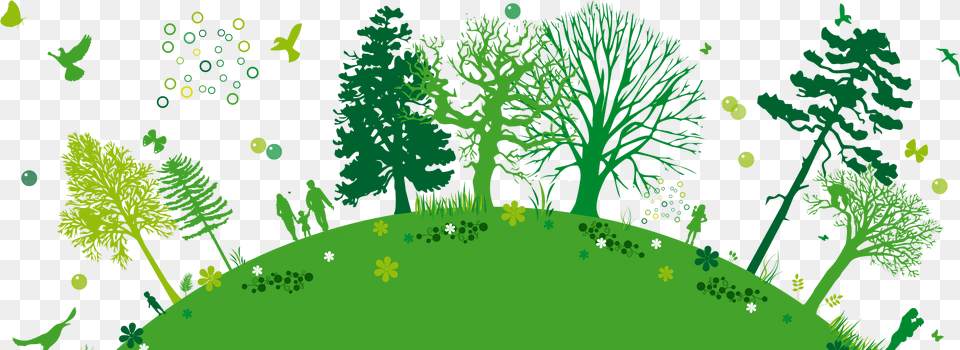 Go Green, Outdoors, Vegetation, Tree, Plant Free Png Download