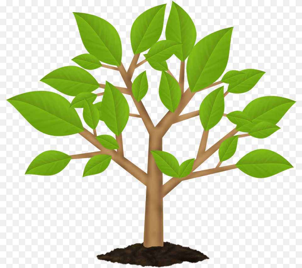 Go Green, Leaf, Plant, Potted Plant, Tree Png Image