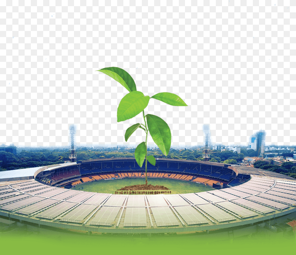 Go Green Logo Bring Back The Green Rcb Go Green Match 2018, Architecture, Building, Outdoors, Plant Free Png Download