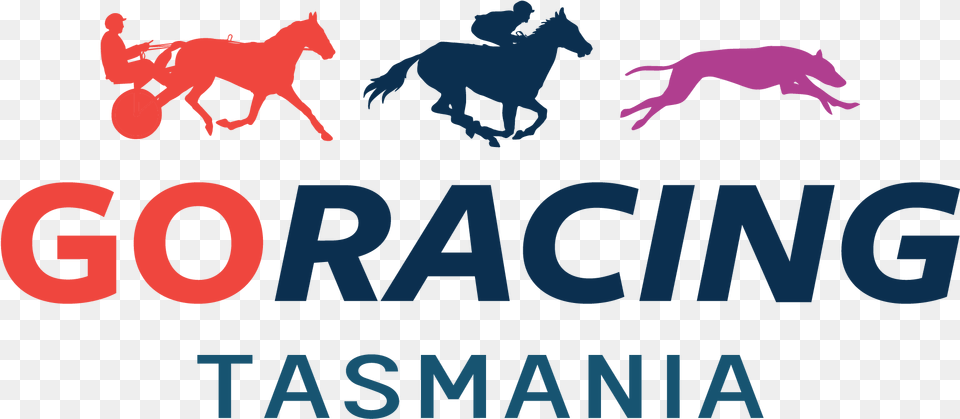 Go Racing Tasmaniawidth, Person, Animal, Horse, Mammal Free Png