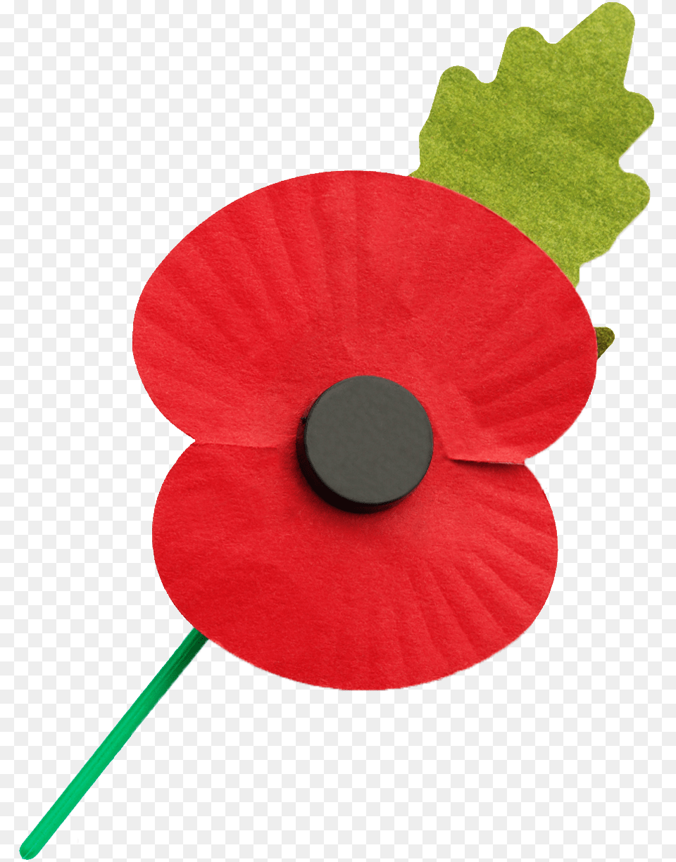 Go To, Flower, Plant, Poppy, Leaf Png