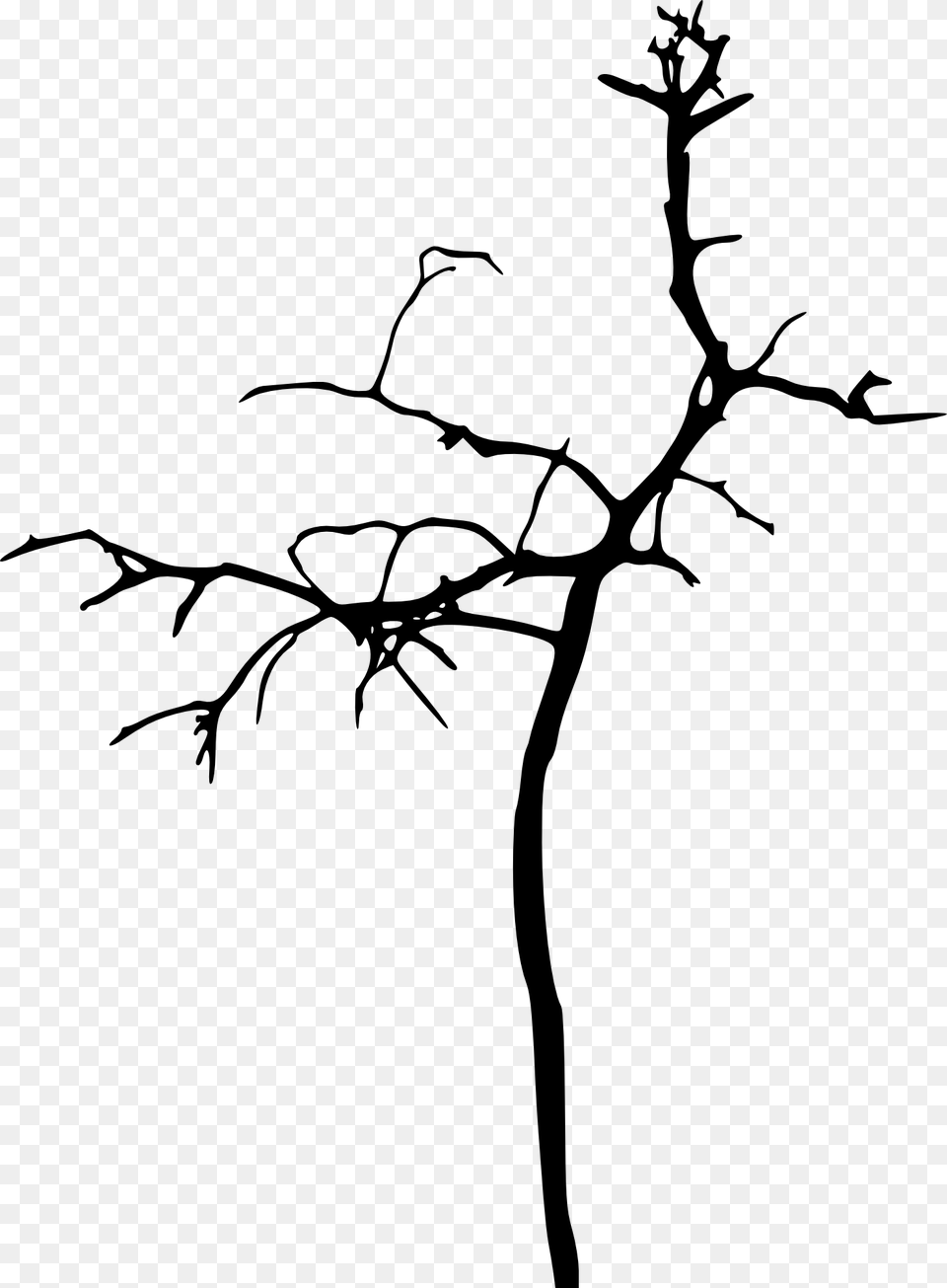 Go To Image Bare Tree, Silhouette, Art, Drawing Free Png Download