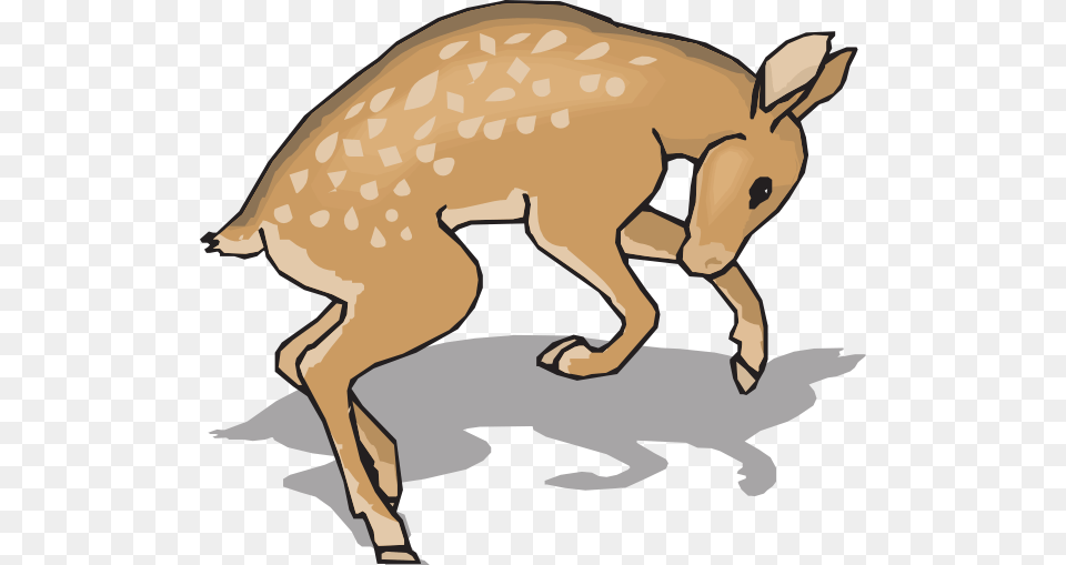 Go To Image Clip Art, Animal, Deer, Mammal, Wildlife Free Png Download