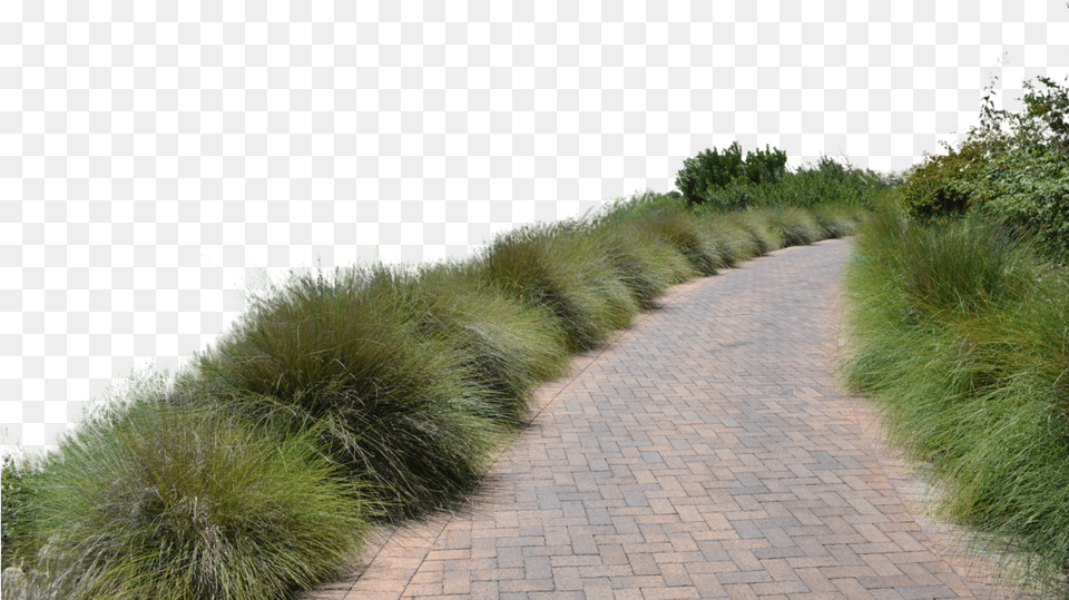 Go To Image Dirt Road, Walkway, Plant, Path, Grass Free Png