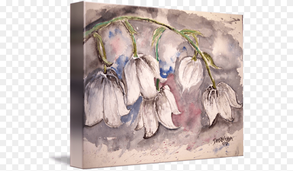 Go To Image Gallery Wrapped Canvas Art Print 15 X 11 Entitled Lily, Painting, Flower, Plant, Petal Free Png