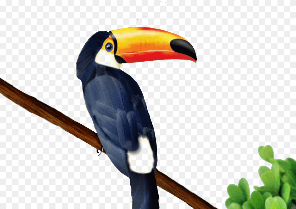 Go To Image Toucan, Animal, Beak, Bird, Plant Free Png Download