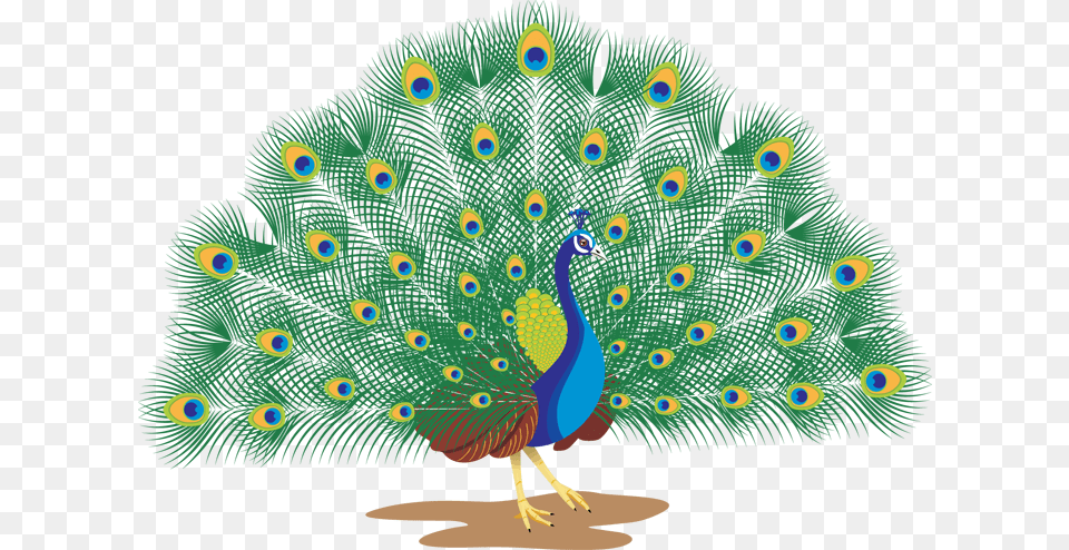 Go To Image Transparent Background Peacock Clipart, Animal, Bird Png