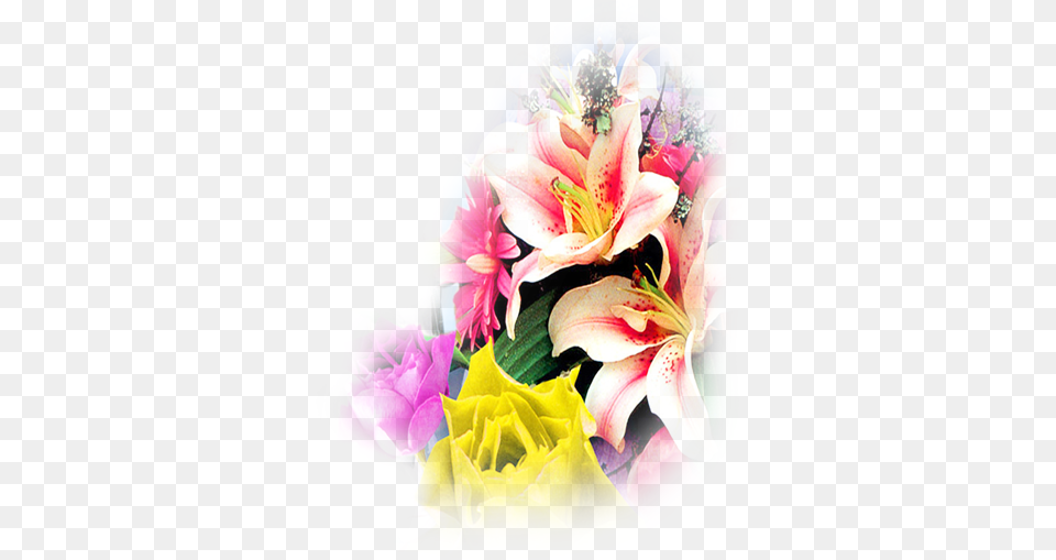 Go To Peruvian Lily, Flower, Flower Arrangement, Flower Bouquet, Plant Png Image