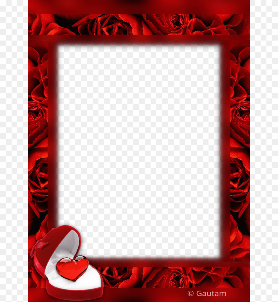 Go To Picture Frame, Flower, Plant, Rose, Clothing Png Image