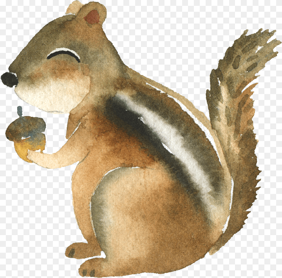 Go To Road, Animal, Mammal, Rodent, Squirrel Free Transparent Png