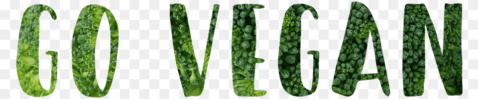 Go Vegan No Background, Plant, Vegetation, Food Free Png