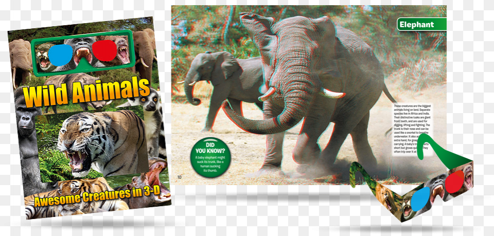 Go Wild As You Discover Some Of Nature39s Most Amazing Exploring Nature Incredible Elephants By Barbara Taylor, Animal, Zoo, Mammal, Wildlife Free Png Download