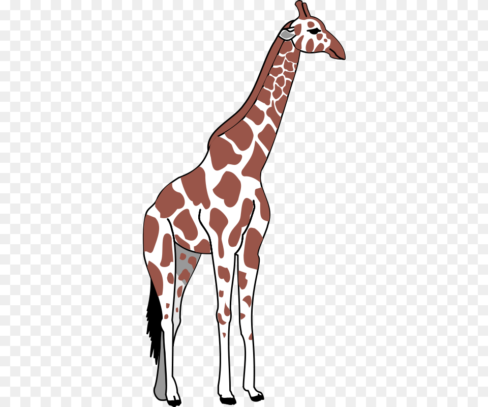 Goal Giraffe Clip Art, Animal, Mammal, Wildlife, Adult Free Png Download