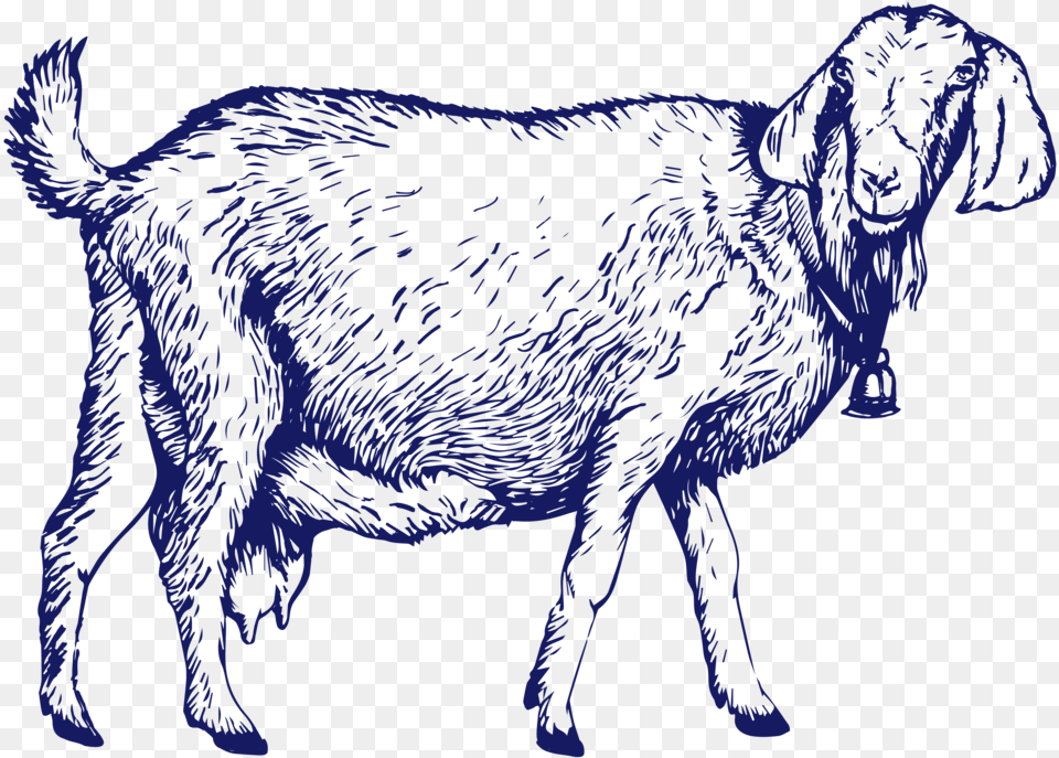 Goat 01 Goat, Livestock, Animal, Mammal, Horse Free Png Download