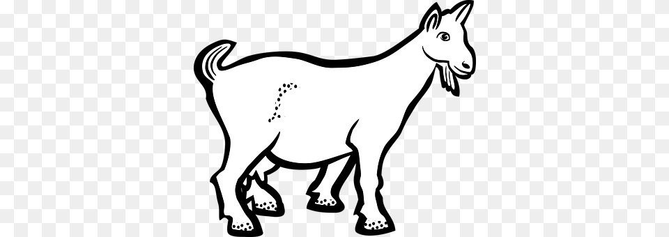 Goat Animal, Kangaroo, Mammal, Livestock Free Transparent Png