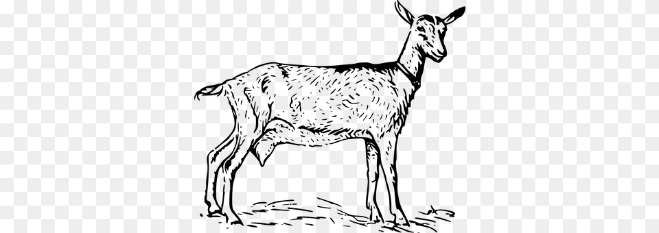 Goat Gray Free Png Download