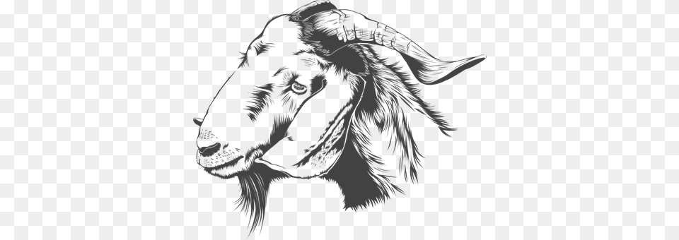 Goat Person, Livestock, Animal, Mammal Png Image