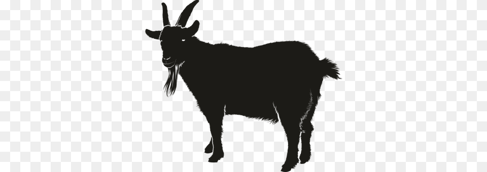 Goat Livestock, Animal, Mammal, Mountain Goat Png Image