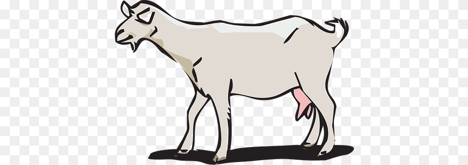 Goat Livestock, Animal, Mammal, Person Png Image