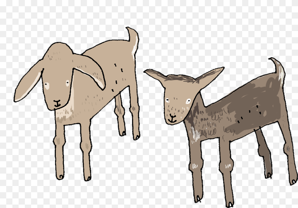 Goat, Animal, Mammal, Baby, Person Free Transparent Png