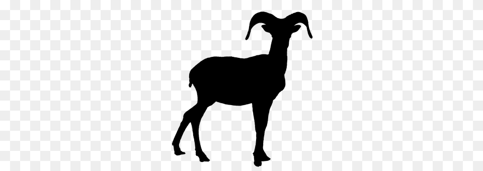 Goat Gray Png Image