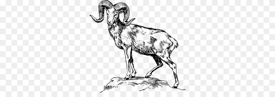 Goat Gray Free Png
