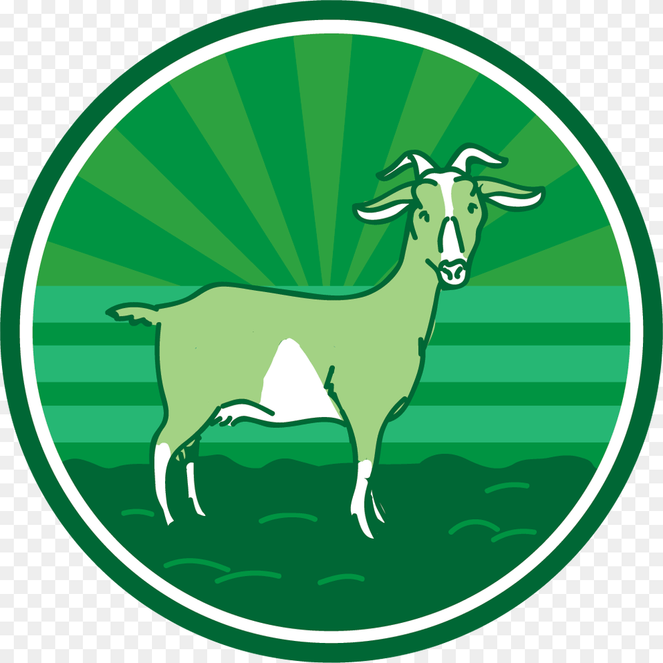 Goat, Livestock, Animal, Mammal, Cattle Png Image