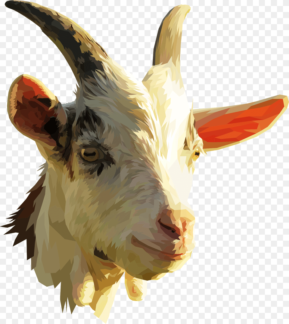 Goat Antelopelivestockhorn Goat Head Transparent, Livestock, Animal, Mammal, Dinosaur Png