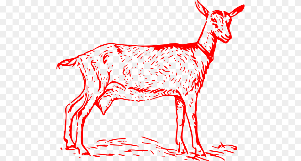 Goat Black And White Clip Art Transparent, Livestock, Animal, Mammal, Antelope Free Png