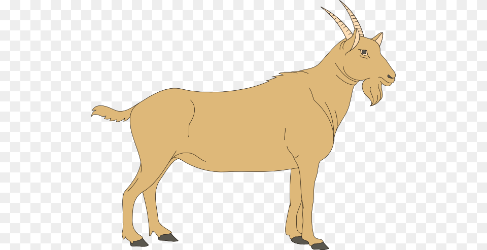 Goat Clipart, Animal, Mammal, Antelope, Wildlife Png Image