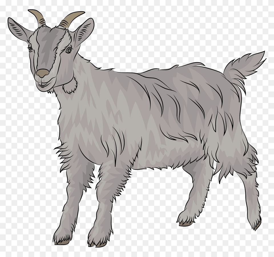 Goat Clipart, Livestock, Animal, Mammal, Antelope Png