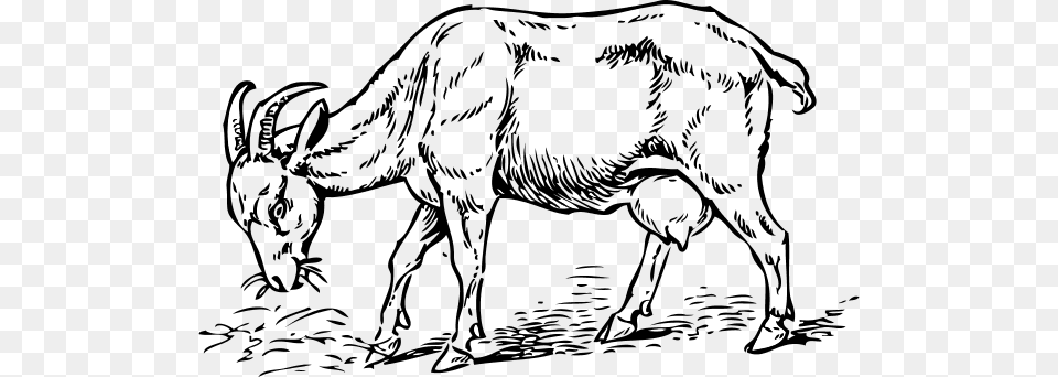 Goat Clipart, Silhouette Png