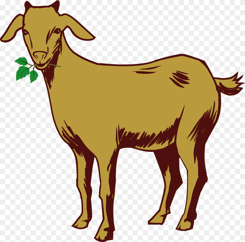 Goat Clipart, Livestock, Animal, Mammal, Cattle Png