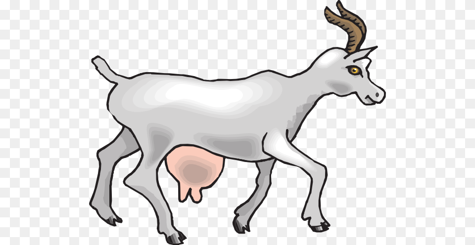 Goat Clipart, Livestock, Animal, Mammal, Kangaroo Free Png