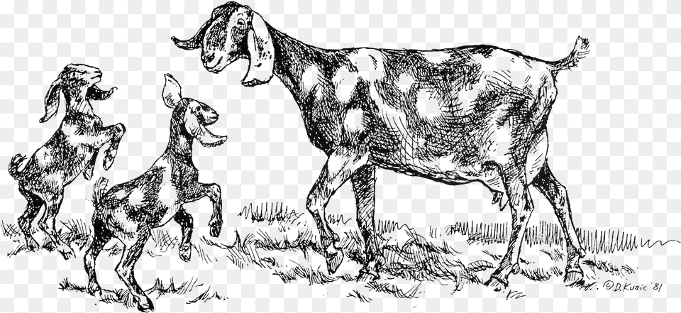 Goat Clipart Foot Cartoon, Livestock, Animal, Mammal, Turtle Png Image