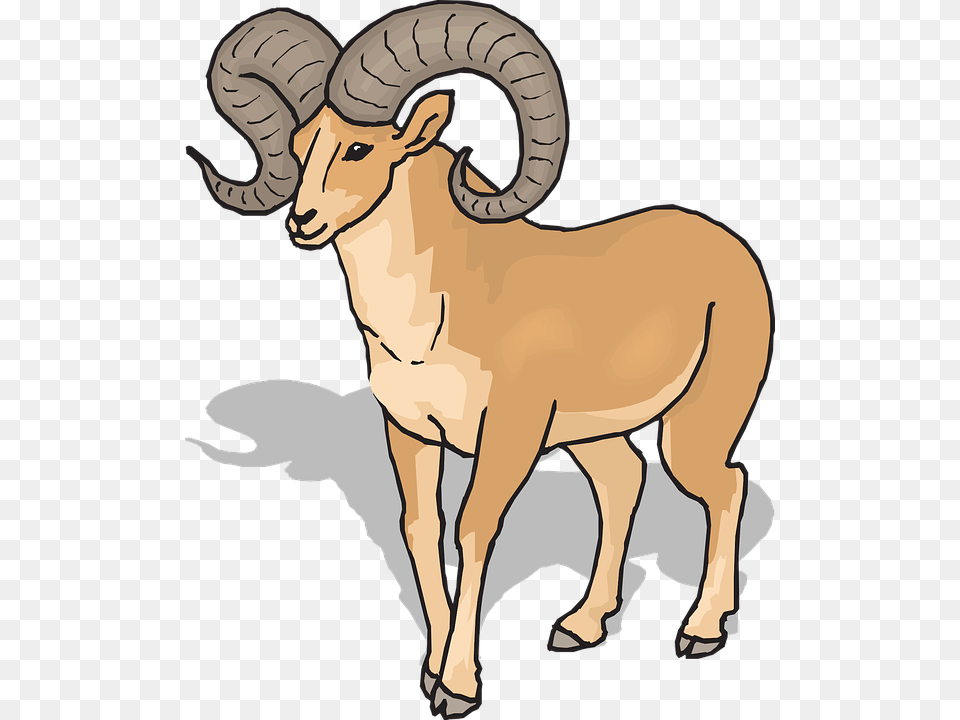 Goat Clipart Front, Person, Animal, Livestock, Face Free Png