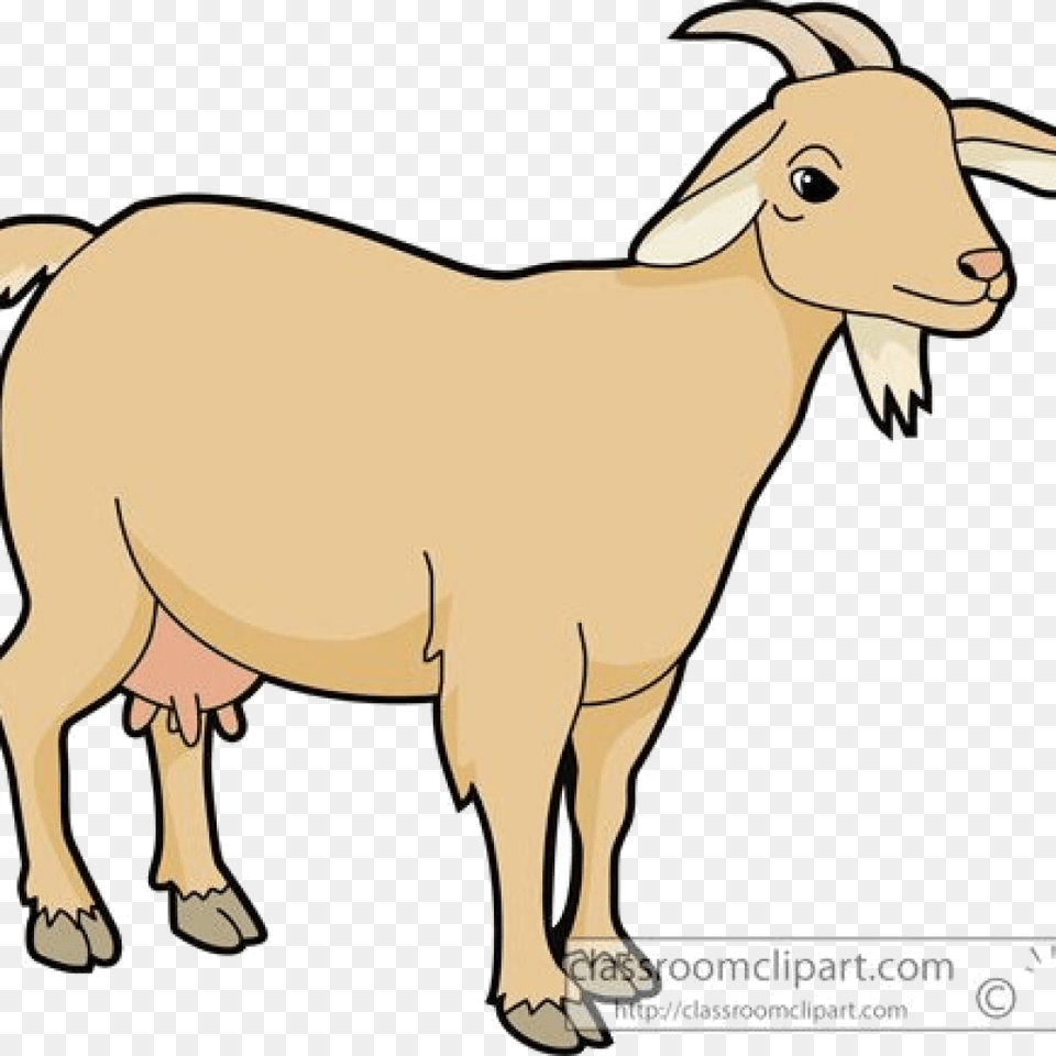 Goat Clipart To Clipartcow Goats Transparent Clipart Of Goat, Livestock, Animal, Mammal, Cattle Free Png Download