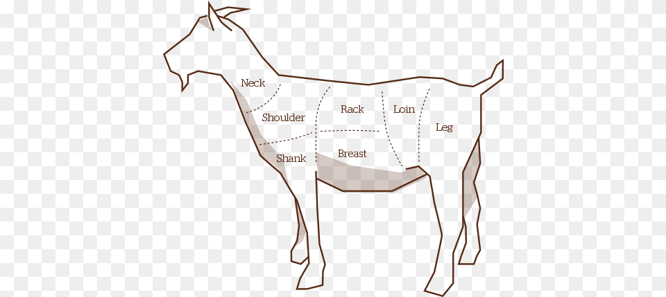 Goat Drawing, Animal, Mammal, Person Png Image