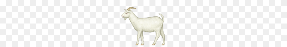 Goat Emoji, Livestock, Animal, Mammal, Sheep Free Transparent Png