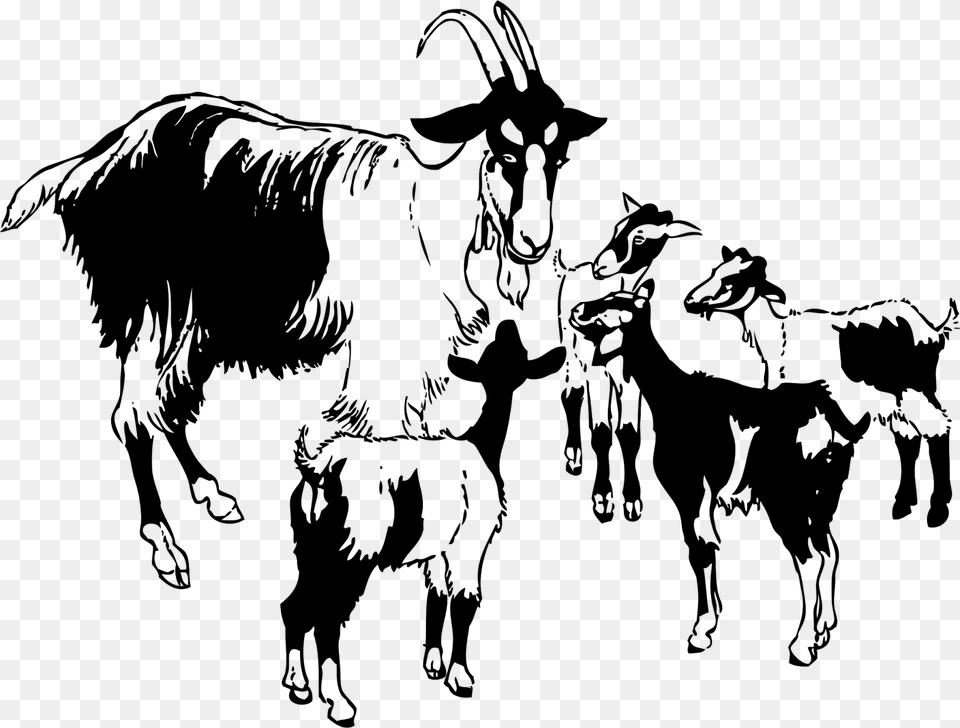 Goat Essay In English, Gray Png Image