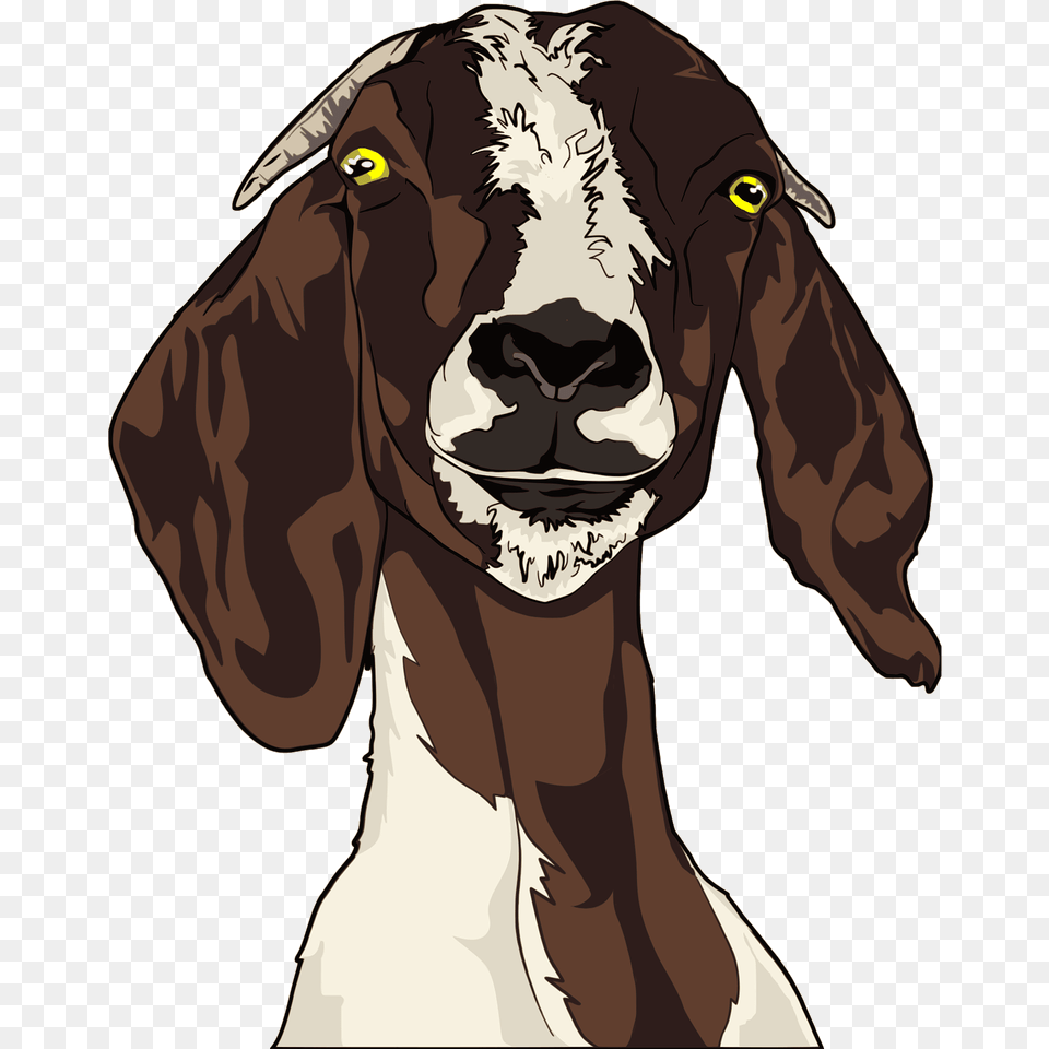 Goat Face Clipart, Livestock, Animal, Mammal, Lion Free Png