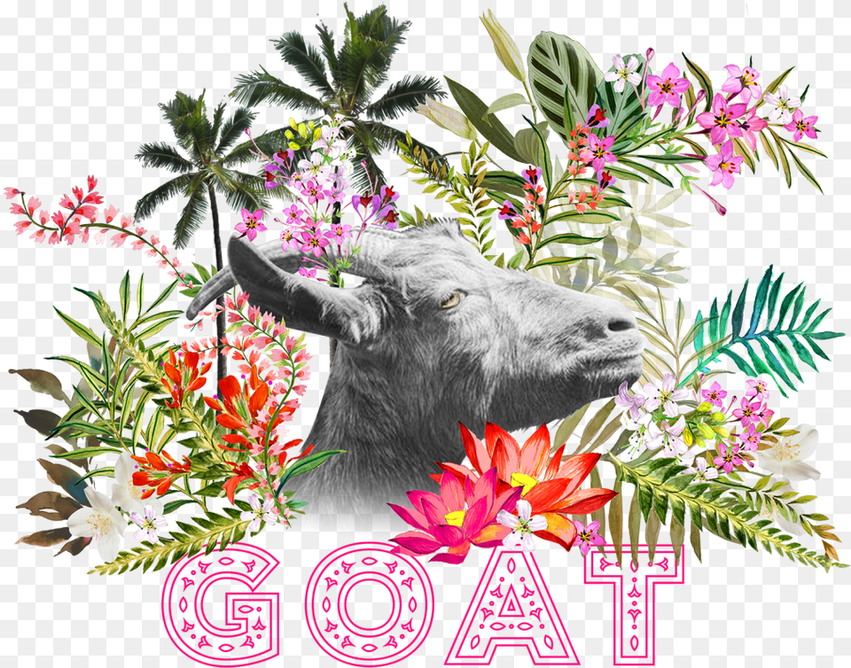 Goat Festival Logo Zebu, Plant, Pattern, Graphics, Flower Bouquet Png