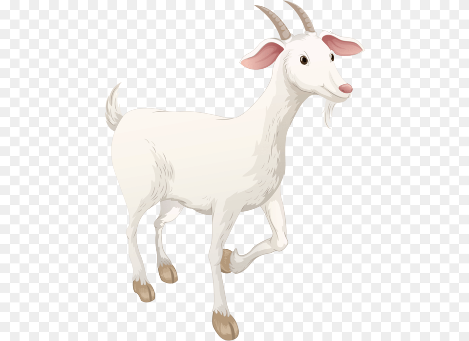 Goat Goat, Livestock, Animal, Mammal, Cattle Free Png Download